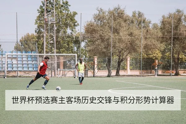 世界杯预选赛主客场历史交锋与积分形势计算器