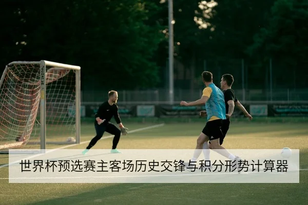世界杯预选赛主客场历史交锋与积分形势计算器